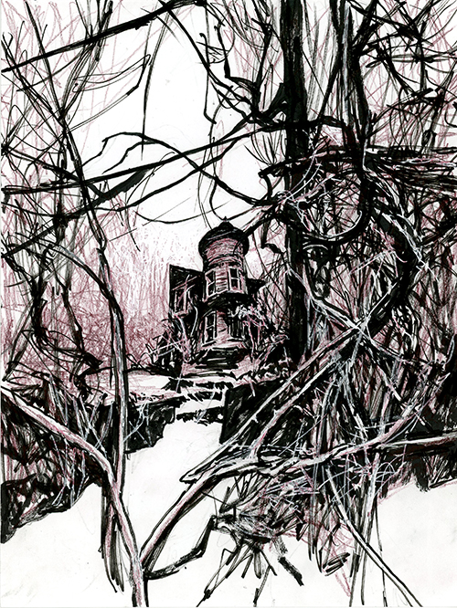 House in Tangled Woods